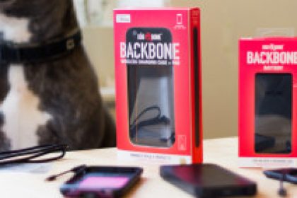 dog-and-bone-backbone-featured-297×141