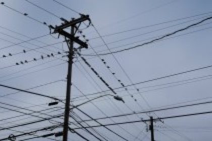 telegraph-lines-pigeons-297×141
