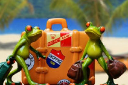 travel-scams-297×141