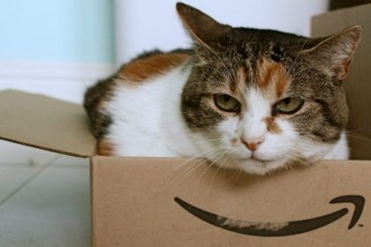 amazon-box-cat-670×335