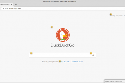 duckduckgo-hints-on-vimium