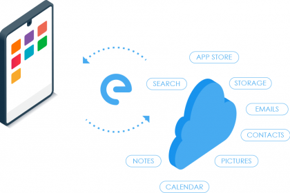graphic-illustrating-e-ecosystem