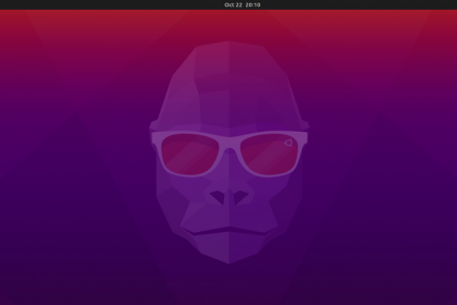 Ubuntu-2010